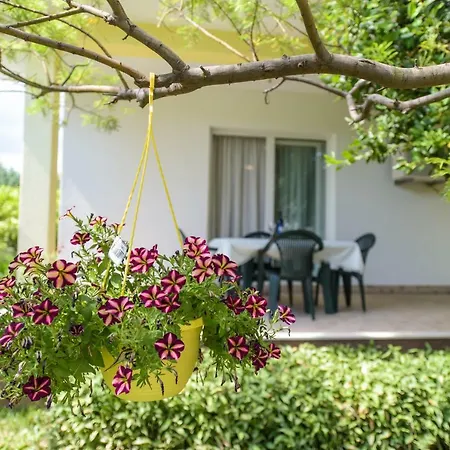 Ivana Apartman Kastela