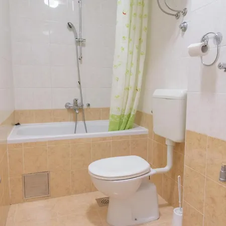 Apartment Ivana *